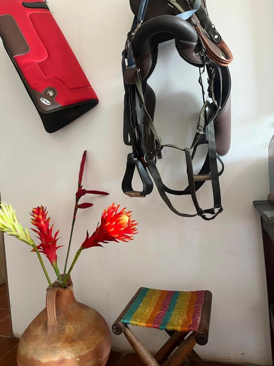 La Casona Llanera Bed & Breakfast San Martin  Ngoại thất bức ảnh